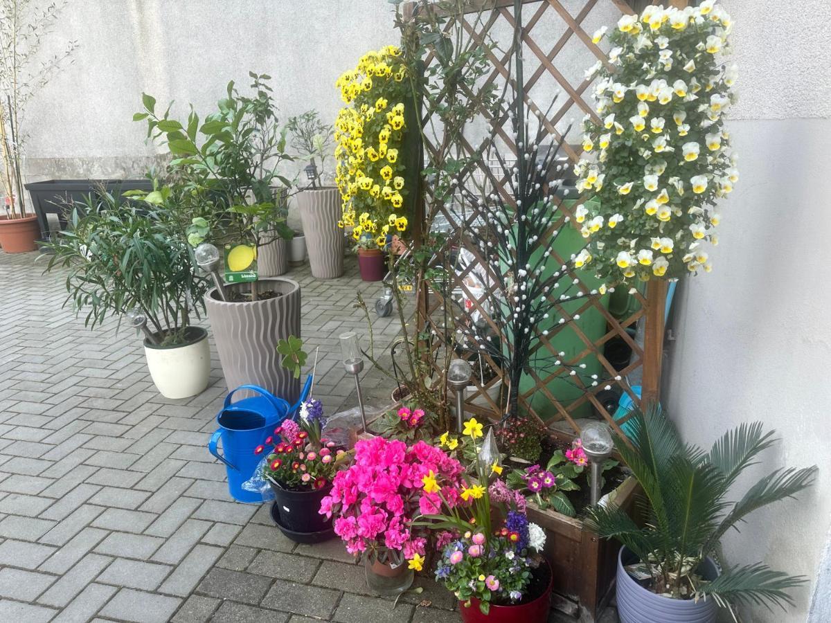 Apartament Kaethe-Kollwitz-Strasse 54, F2 Altenburg Zewnętrze zdjęcie